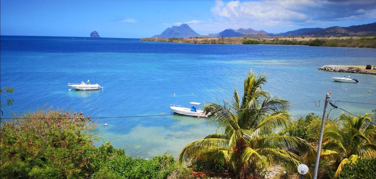 T2 Les Pieds Dans L'Eau Face A La Mer Des Caraibes Sainte Luce - Trois Rivieres エクステリア 写真
