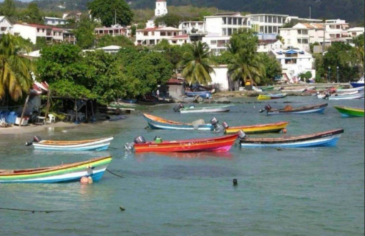 T2 Les Pieds Dans L'Eau Face A La Mer Des Caraibes Sainte Luce - Trois Rivieres エクステリア 写真