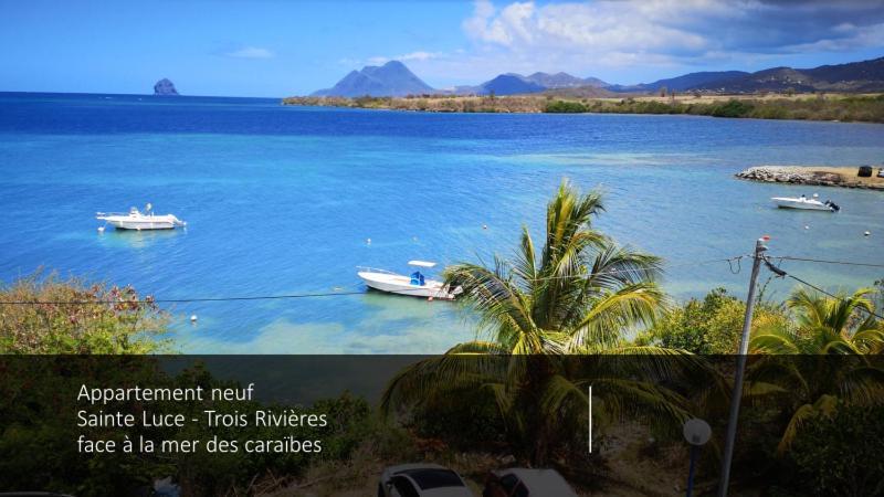 T2 Les Pieds Dans L'Eau Face A La Mer Des Caraibes Sainte Luce - Trois Rivieres エクステリア 写真